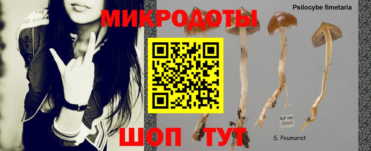 Псилоцибиновые грибы Magic Shrooms  Галлюциногенные грибы GOLDEN TEACHER  Донецк  Вход с VPN 