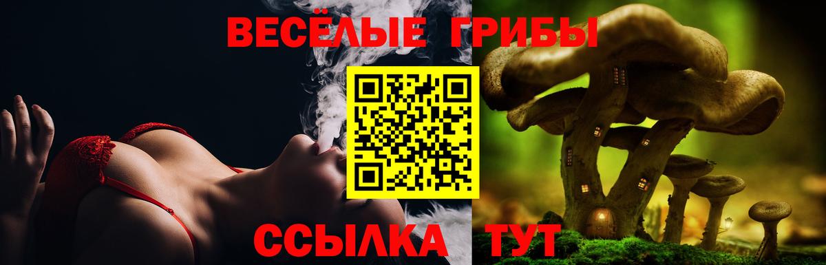 Галлюциногенные грибы Magic Shrooms Донецк